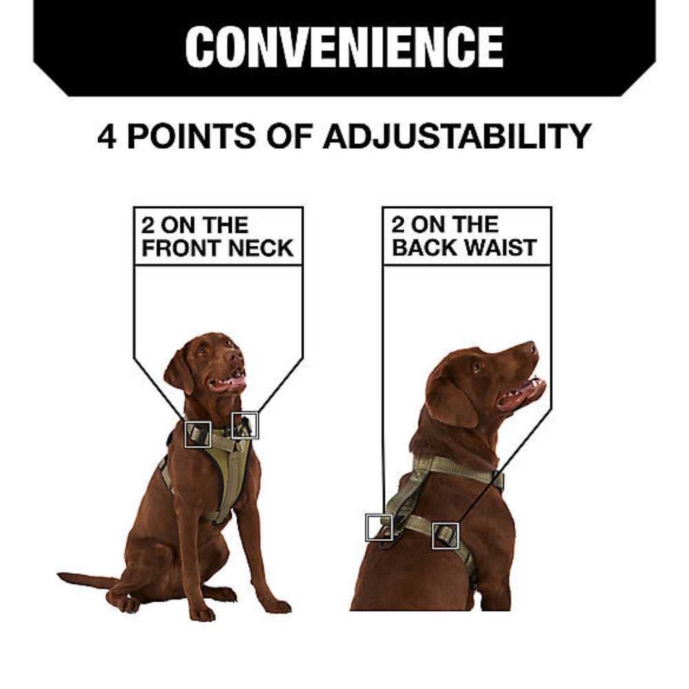 KONG® MAX Neoprene Padded Dog Harness Size L - Picture 5 of 15